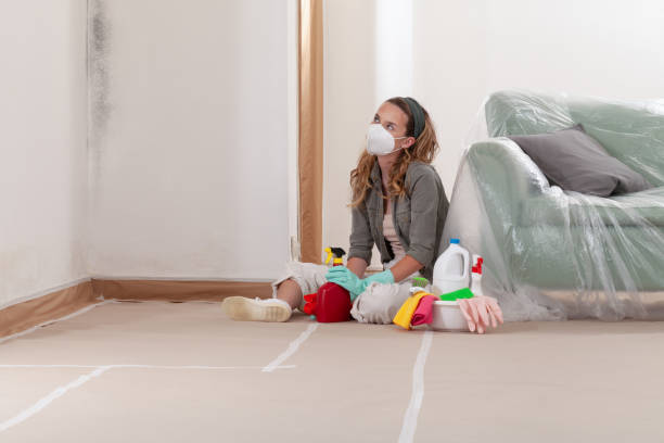 Reliable Mold Inspection And Testing contractor in Arlington, VA by Car Mold Remediation